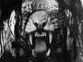 NextGen ScrollGallery thumbnail