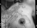 NextGen ScrollGallery thumbnail