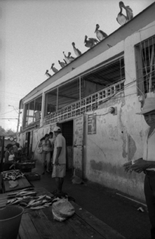 Minolta DSC