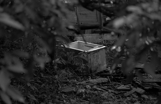 Minolta DSC